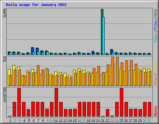 Daily usage for January 2021