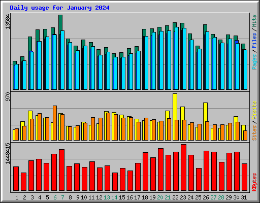 Daily usage for January 2024