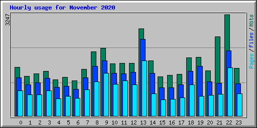 Hourly usage for November 2020