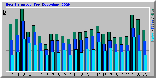 Hourly usage for December 2020