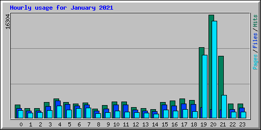 Hourly usage for January 2021