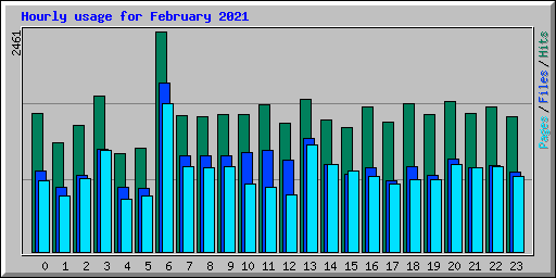 Hourly usage for February 2021