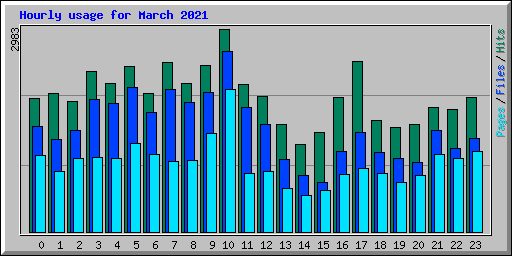 Hourly usage for March 2021