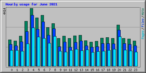 Hourly usage for June 2021