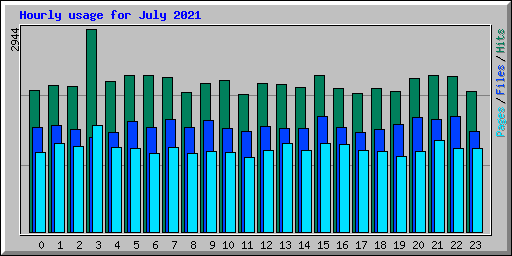 Hourly usage for July 2021