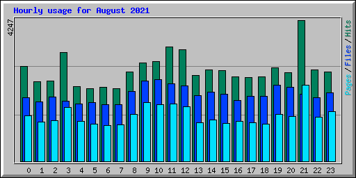 Hourly usage for August 2021