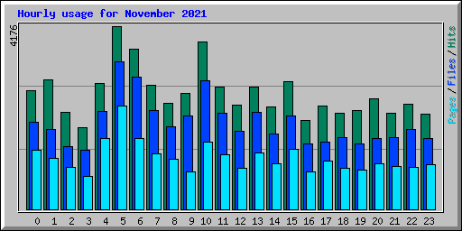 Hourly usage for November 2021