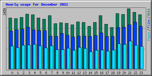 Hourly usage for December 2021