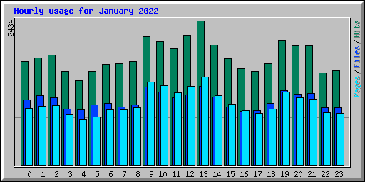 Hourly usage for January 2022