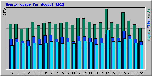 Hourly usage for August 2022