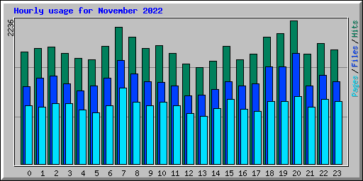 Hourly usage for November 2022