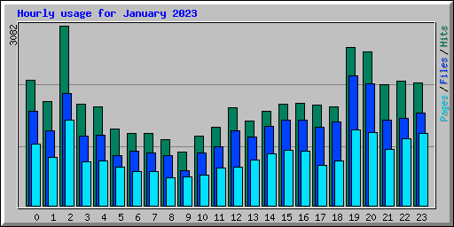 Hourly usage for January 2023