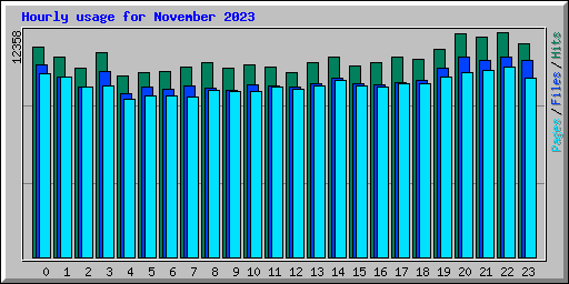 Hourly usage for November 2023
