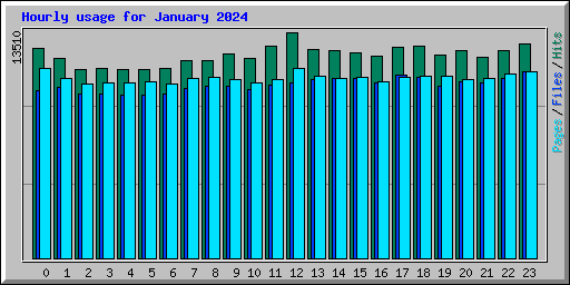 Hourly usage for January 2024