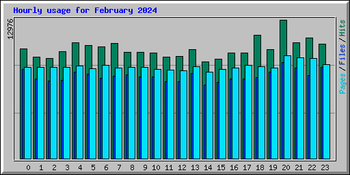 Hourly usage for February 2024