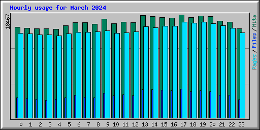 Hourly usage for March 2024