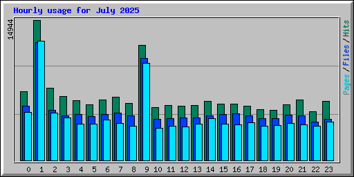 Hourly usage for July 2025