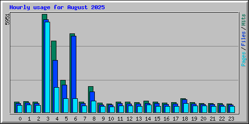 Hourly usage for August 2025