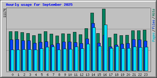 Hourly usage for September 2025