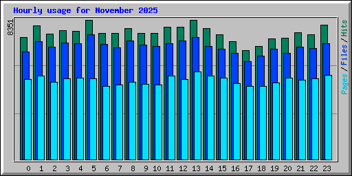 Hourly usage for November 2025