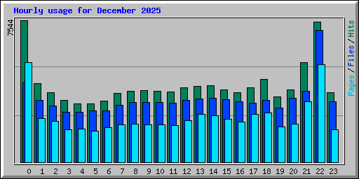 Hourly usage for December 2025