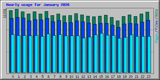 Hourly usage for January 2026