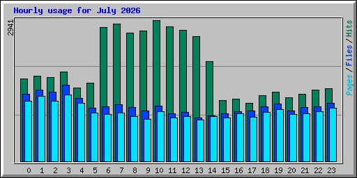 Hourly usage for July 2026