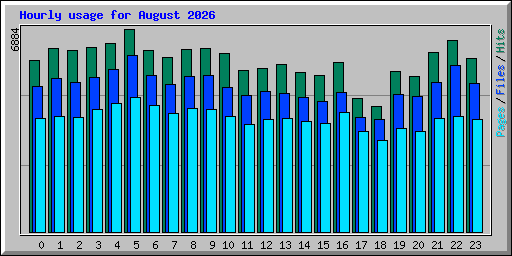 Hourly usage for August 2026