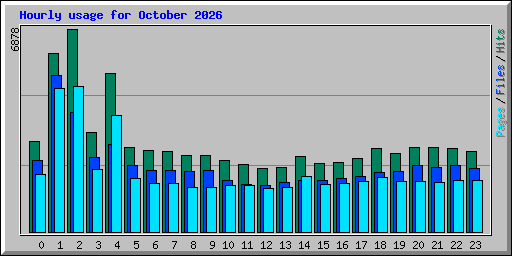 Hourly usage for October 2026