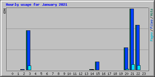 Hourly usage for January 2021